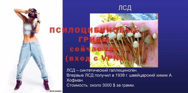 бутират Магас