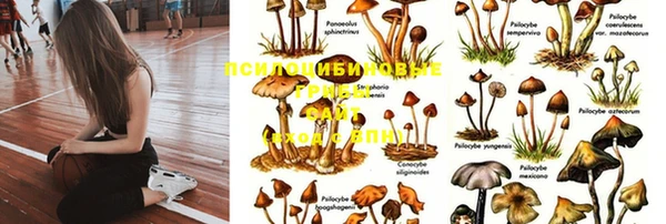 герыч Лихославль