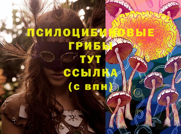 дурь Лиски